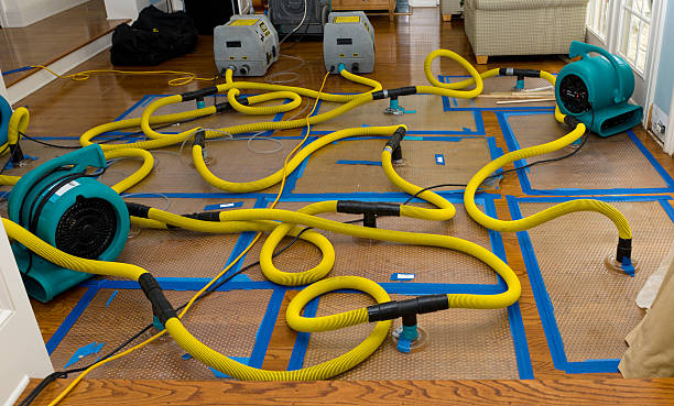 Professional Water Damage Repair technician working in Fremont, MI